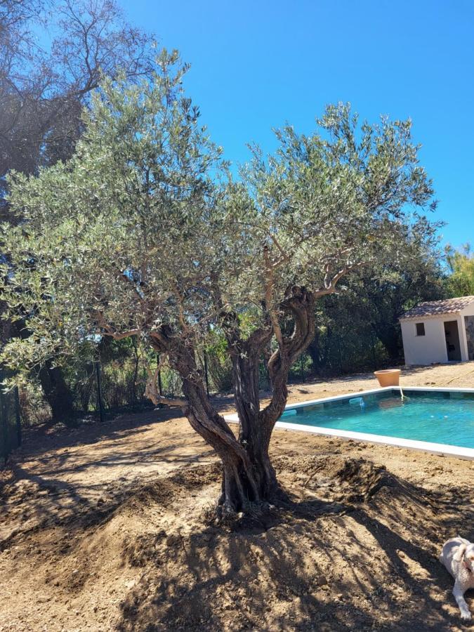 Villa Gitedelea Aubignan Esterno foto